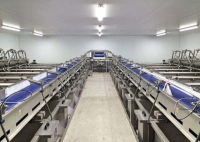 Seafood Processing Factory